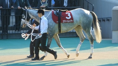 スマートレイアー