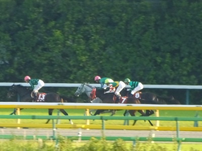 ホエールキャプチャが２番手に浮上