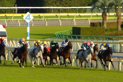 ホエールキャプチャが先頭に