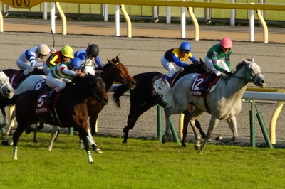 ディアデラマドレが追い込んできた