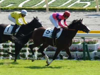 ナリタスターワン