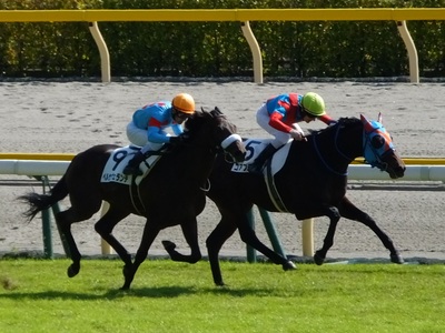 コアプライドとペルセヴェランテの叩き合い