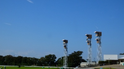快晴の東京競馬場