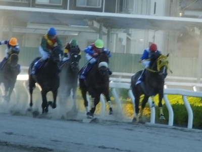 内ラチ沿いからサミットストーンが浮上