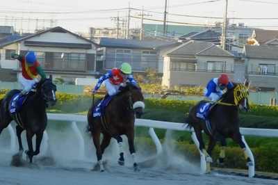 南関東所属馬3頭による叩き合い