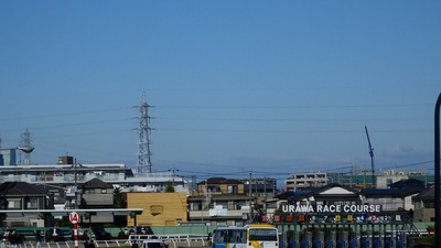 浦和競馬場は快晴