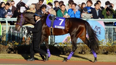 エーシンモアオバー