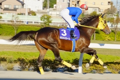 サミットストーン