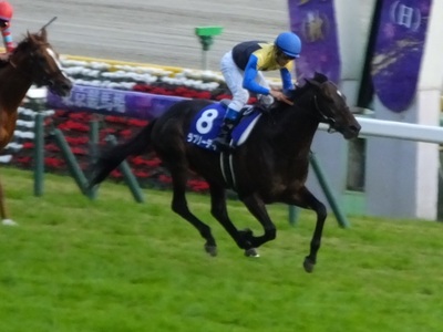 ラブリーデイが先頭でゴール