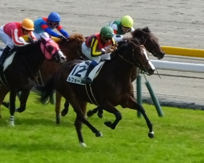 最後の直線で馬群から抜け出すルフォール