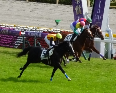 ブラックプラチナムが先頭でゴール