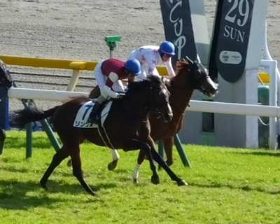 リンクスが先頭でゴール