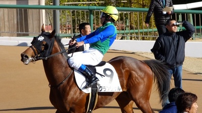 中山1Rで18000回騎乗を達成した横山典弘騎手