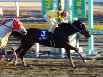 イセノラヴィソンが先頭でゴール