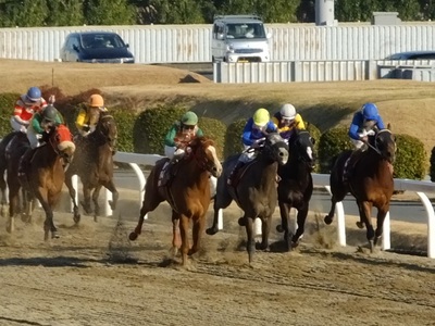 矢野貴之騎手（大井）騎乗のキネオアレグロが抜け出す