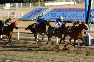 第１戦は矢野貴之騎手（大井）が勝利