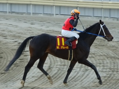 ミルコ・デムーロ騎手（ＪＲＡ・栗東）は小さくガッツポーズ