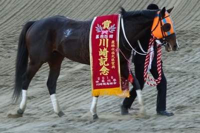 優勝馬ホッコータルマエ