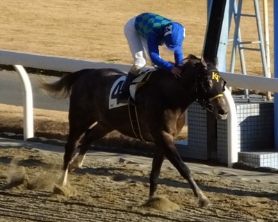 高月賢一調教師（川崎）６００勝達成の瞬間