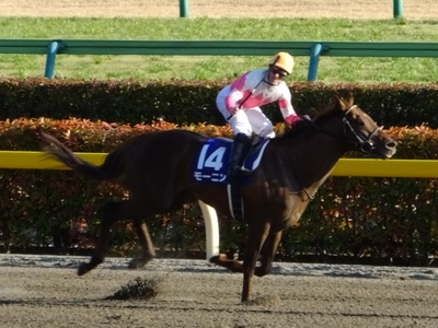 モーニンとミルコ・デムーロ騎手