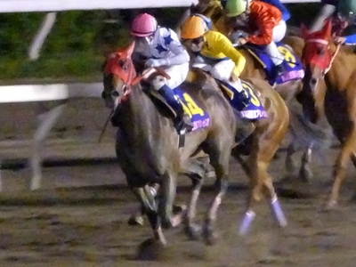 最後の直線で馬群から抜け出すリンダリンダ