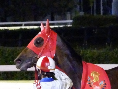 優勝馬リンダリンダ