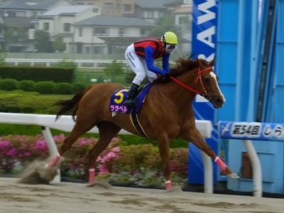 ララベルが先頭でゴール