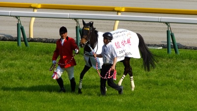 優勝馬シンハライト