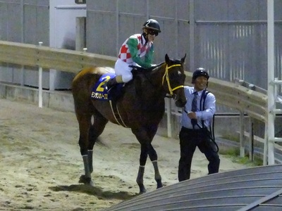 引き上げるモンサンカノープス、矢野貴之騎手（大井）と厩務員さんに笑顔が