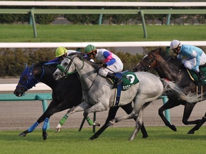 ファイアーフロート、キョウエイストームの叩き合い