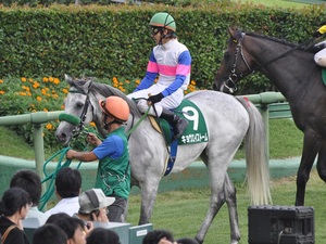 キョウエイストーム