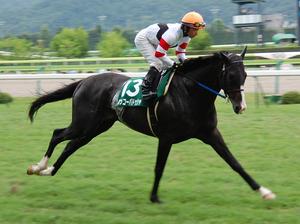 ホッコーパドゥシャ