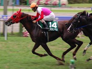 ミヤビランべリが先頭でゴール