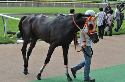 フェイトフルウォー