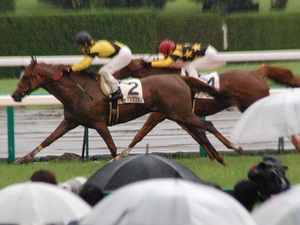 ホーマンフリップ