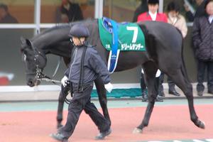 ドリームサンデー