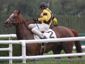 ホーマンルッツ