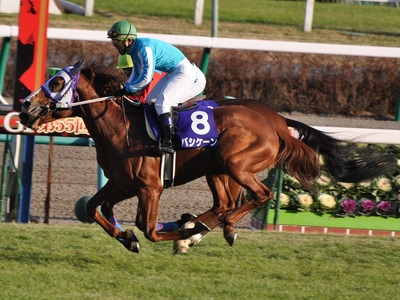 ２頭並んでゴール