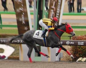 ホローポイント