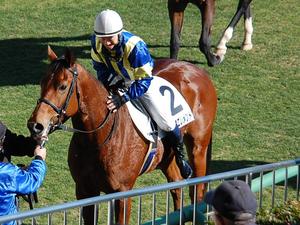 シャドウエレメント