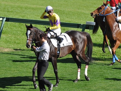 モアサンアポロ