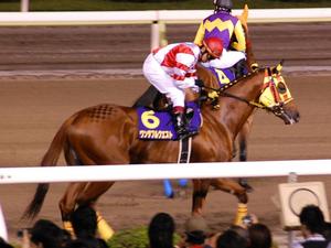 ワンダフルクエストには横山典弘が