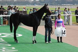 ディアアレトゥーサ