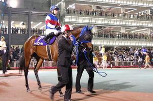 シーズザゴールド