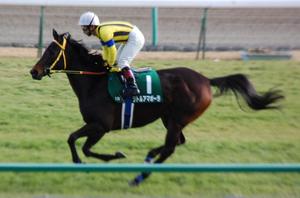 リトルアマポーラ