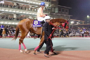 ブンブイチドウ