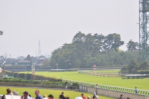 残暑厳しい新潟競馬場