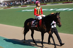 サンテミリオン