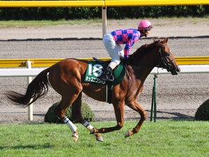 キッズニゴウハン