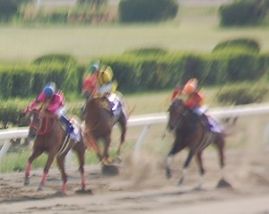 最後の直線、スマートファルコンが粘る